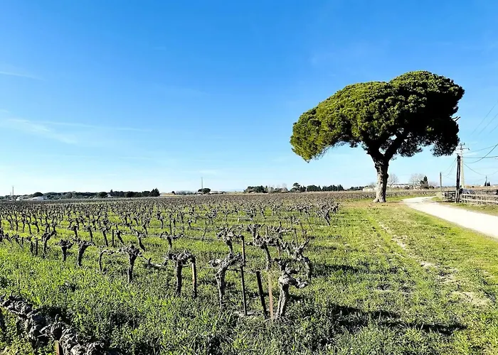 Du Mas - Quartz Apartamento *